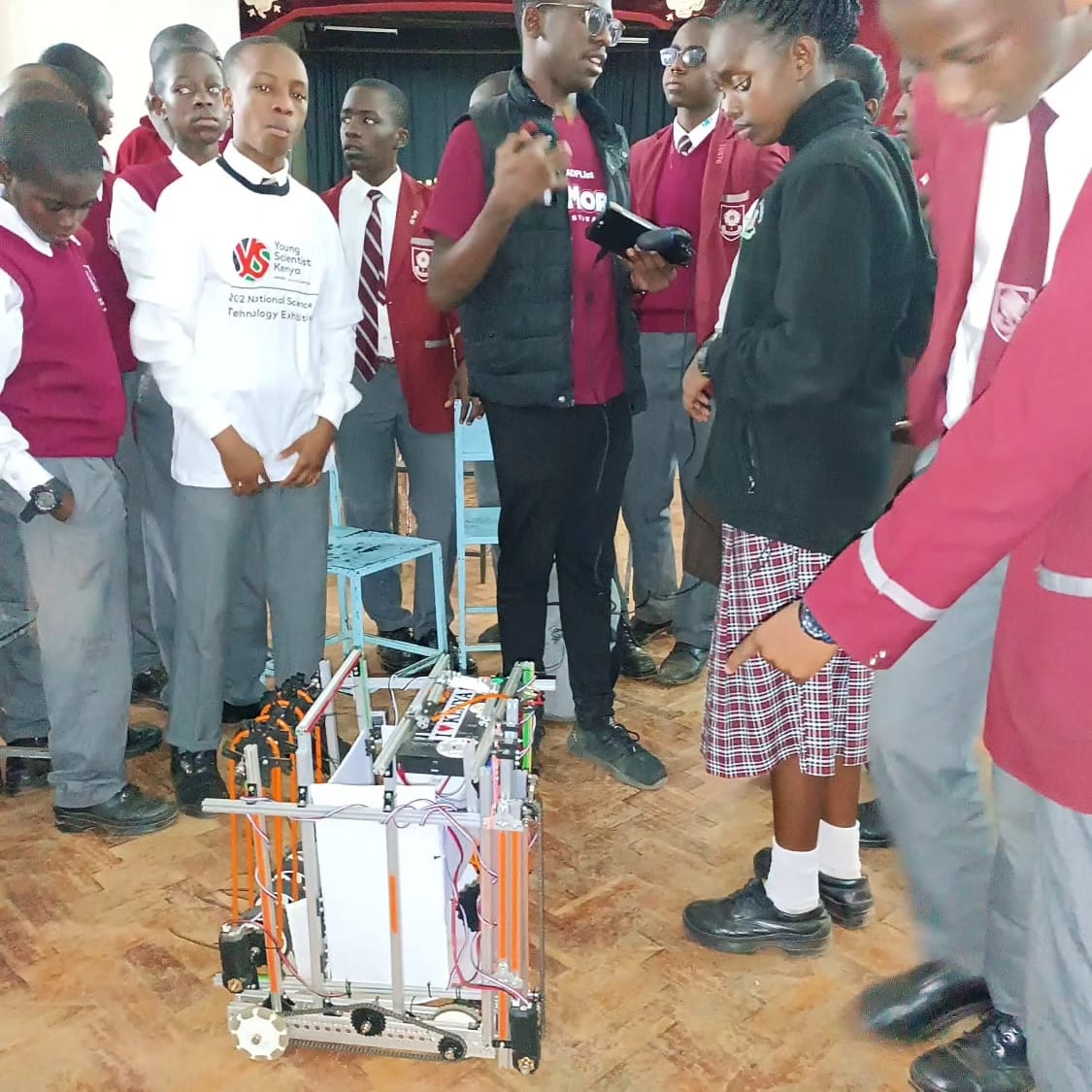 STEM Mentor